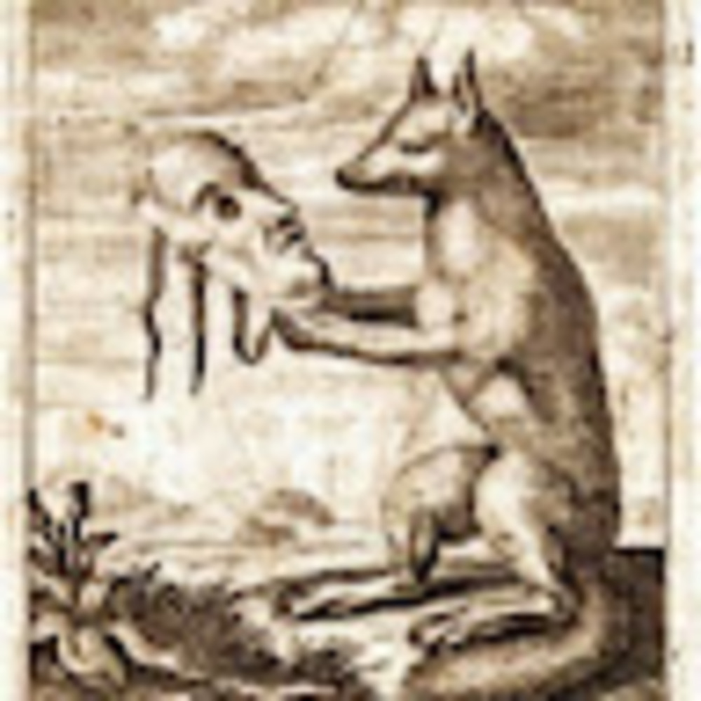 Meet your Posher, Jake